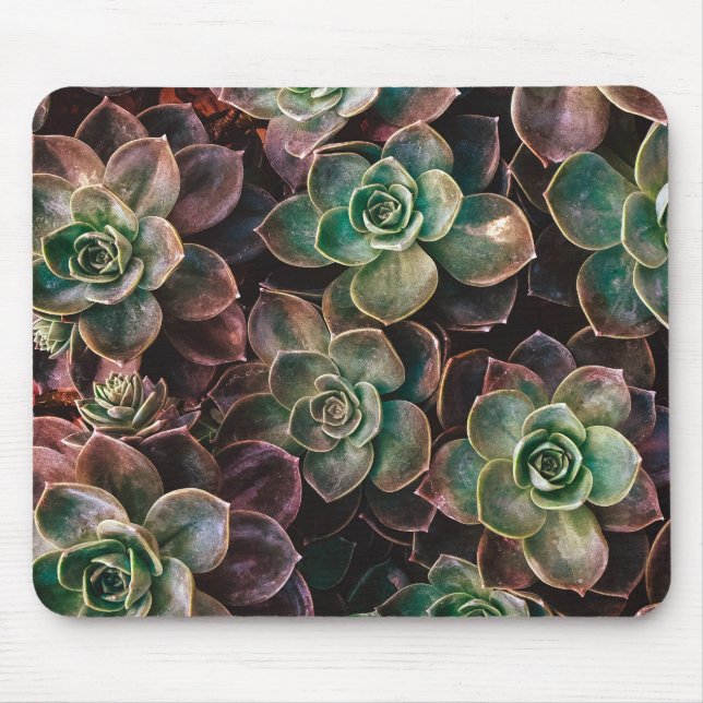Succulent Mouse Pad (Front)