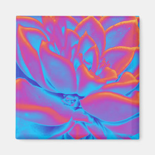 Succulent mystery magnet