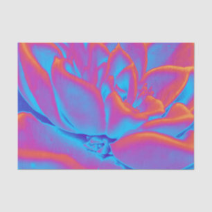 Succulent mystery tissue paper