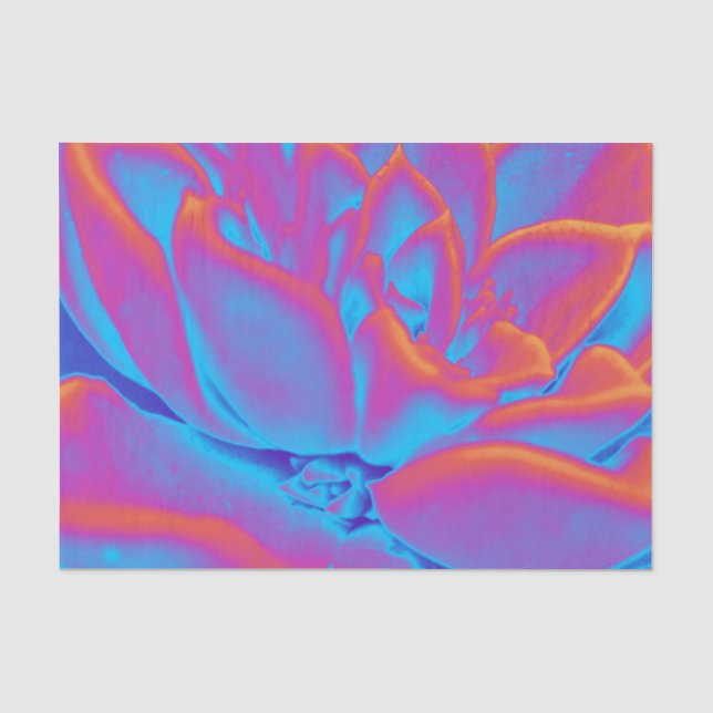 Succulent mystery tissue paper (Front)