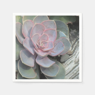 Succulent Napkin