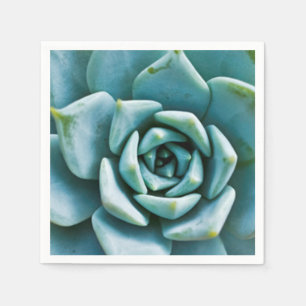 Succulent Napkin
