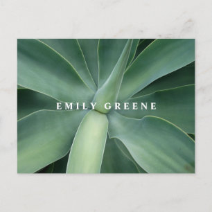 Succulent Notecards Postcard