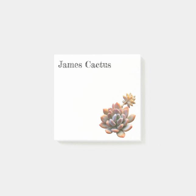 Succulent Notes (Front)