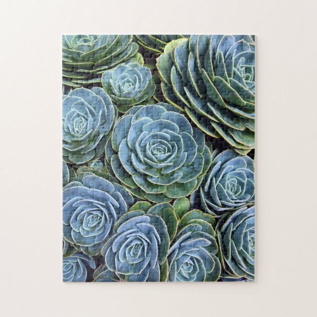 Succulent Photography Succulent Day Cactus Stock Jigsaw Puzzle (Vertical)