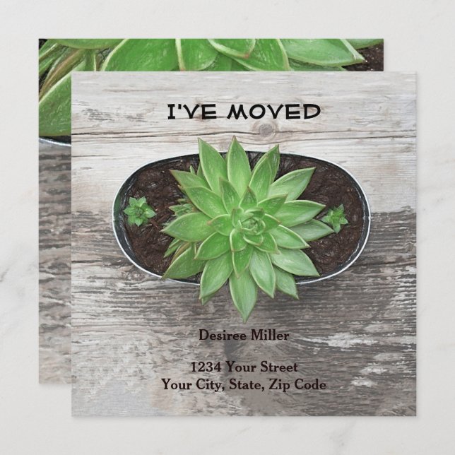 Succulent Plant I've Moved New Address Announcement (Front/Back)