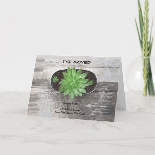 Succulent Plant I've Moved New Address Announcement