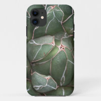 Succulent Plant Photo iPhone SE + iPhone 5/5S