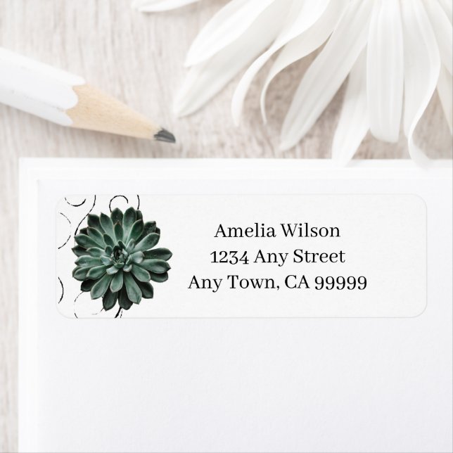 Succulent Plant Return Address Label (Insitu)