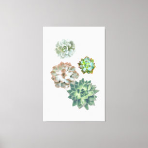 Succulent Plant Watercolor Painting Wall Art