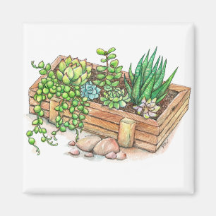 Succulent Planter Box Magnet