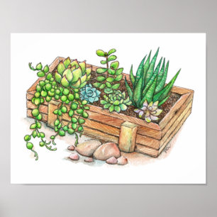 Succulent Planter Box Poster