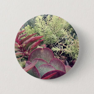 Succulent Plants 6 Cm Round Badge