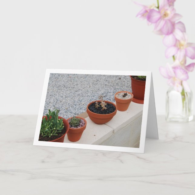 Succulent Plants on Garden Wall Portrait Card (Orchid)