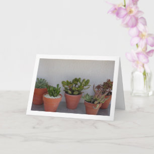 Succulent Plants Portrait Card