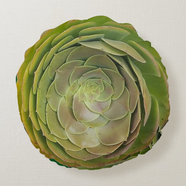 Succulent Rose Shape Round Cushion (Back)