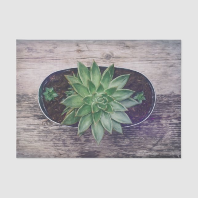 Succulent Rustic Green Art Painting Decoupage Tissue Paper (Front)