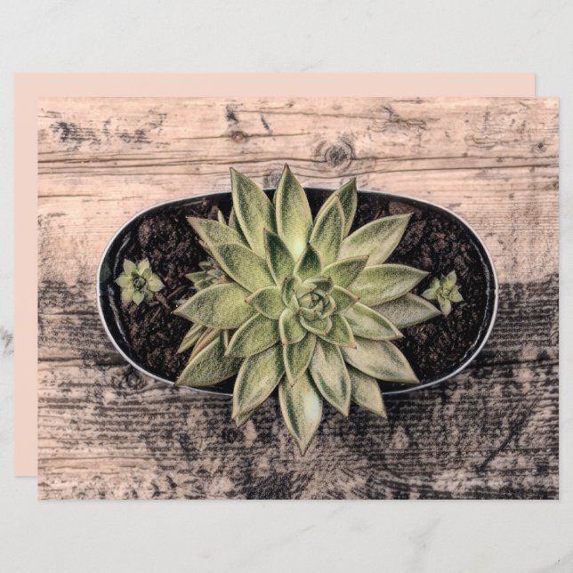 Succulent Rustic Green Vintage Botanical Decoupage (Front/Back)