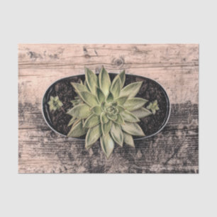 Succulent Rustic Vintage Green Botanical Decoupage Tissue Paper
