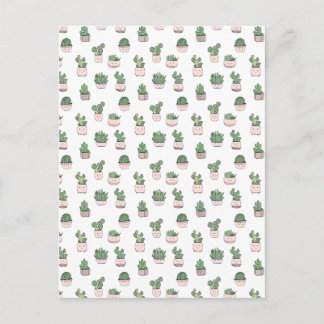Succulent smiling cactuses in pink flowerpots postcard
