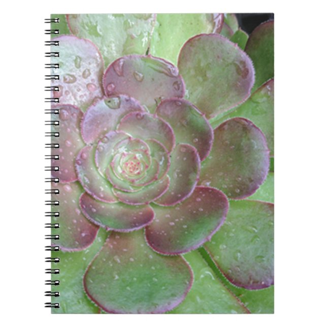 Succulent Spiral Notebook (Front)