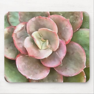 Succulent Study In Green and Coral Mouse Pad