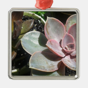 #succulent, Succulent plant, pretty pink succulent Metal Tree Decoration