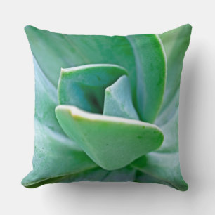 Succulent Swirl Cushion