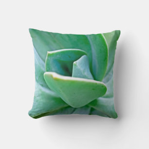 Succulent Swirl Cushion