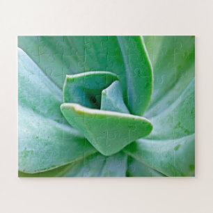 Succulent Swirl Jigsaw Puzzle