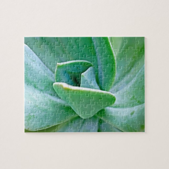 Succulent Swirl Jigsaw Puzzle (Horizontal)