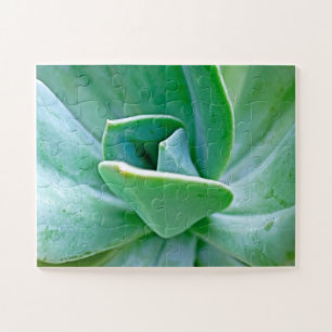 Succulent Swirl Jigsaw Puzzle