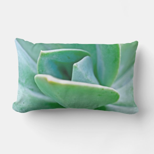 Succulent Swirl Lumbar Cushion (Front)