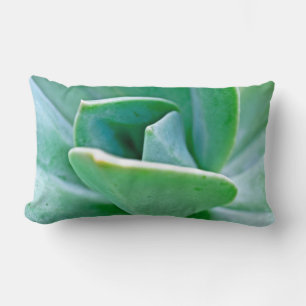 Succulent Swirl Lumbar Cushion