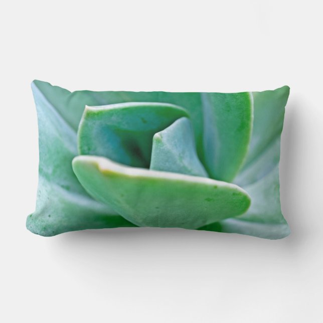 Succulent Swirl Lumbar Cushion (Front)