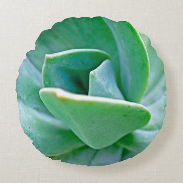 Succulent Swirl Round Cushion (Front)
