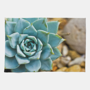 Succulent Tea Towel