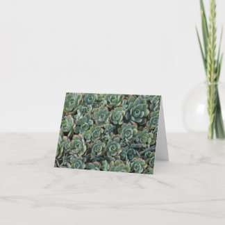 Succulent Thank You card