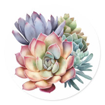 Succulent-Themed Sticker