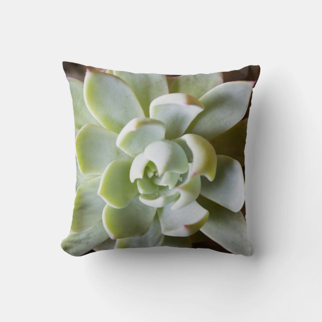 Succulent Throw Pillow (Front)