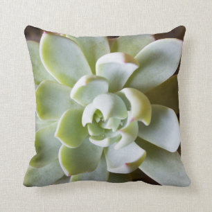 Succulent Throw Pillow
