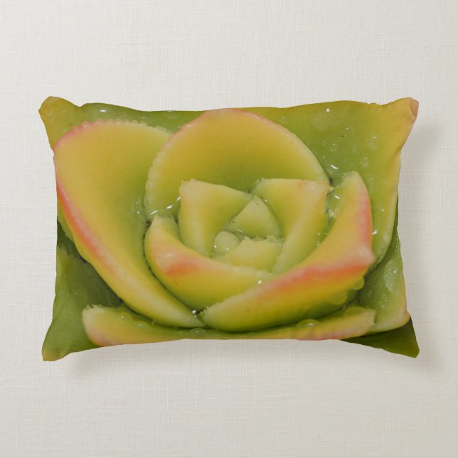 Succulent Throw Pillow | Botanical Green Decor (Front)