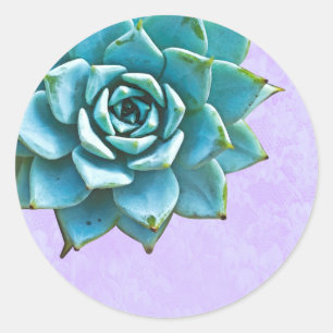 Succulent Watercolor Lavender Lace Classic Round Sticker
