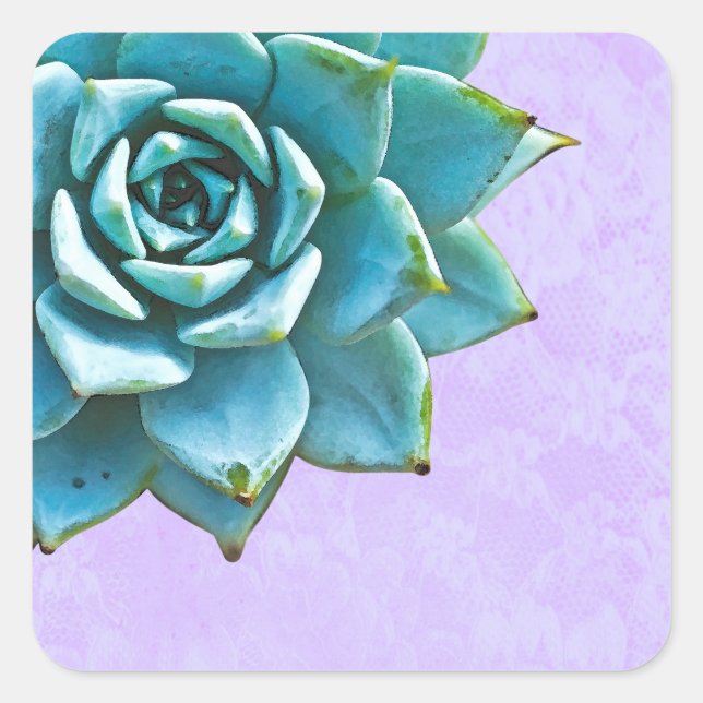 Succulent Watercolor Lavender Lace Square Sticker (Front)