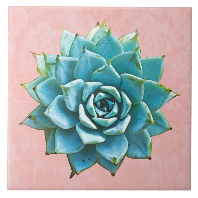 Succulent Watercolor on Blush Pink Lace Tile (Front)