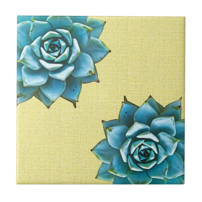 Succulent Watercolor on Yellow Tile (Front)