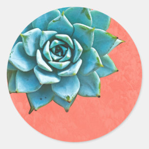 Succulent Watercolor Orange Lace Classic Round Sticker