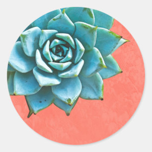 Succulent Watercolor Orange Lace Classic Round Sticker