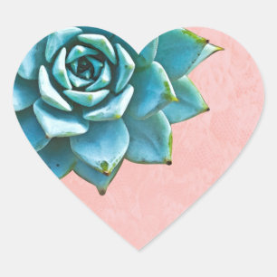 Succulent Watercolor Pink Lace Heart Sticker