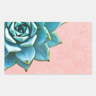 Succulent Watercolor Pink Lace Rectangular Sticker